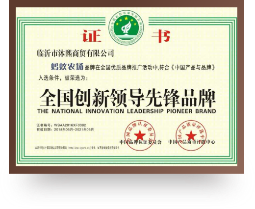 全国创新领导先锋品牌