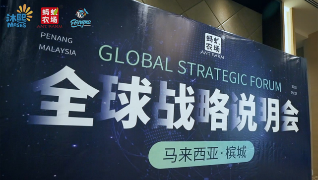 蚂蚁农场全球战略说明会